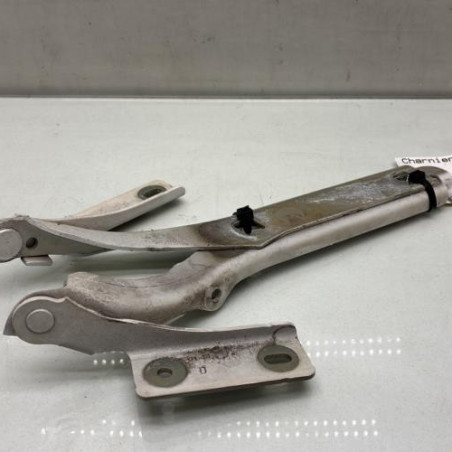 Charniere de capot PEUGEOT PARTNER 2 Photo n°1