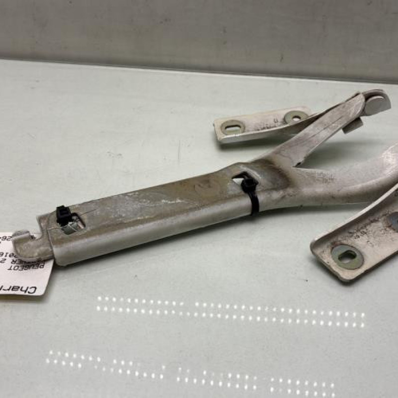 Charniere de capot PEUGEOT PARTNER 2 Photo n°2