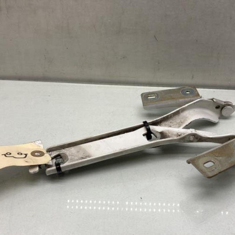 Charniere de capot PEUGEOT PARTNER 2 Photo n°3