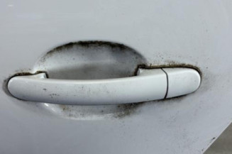 Porte arriere gauche VOLKSWAGEN POLO 5