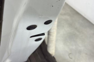 Porte arriere gauche VOLKSWAGEN POLO 5