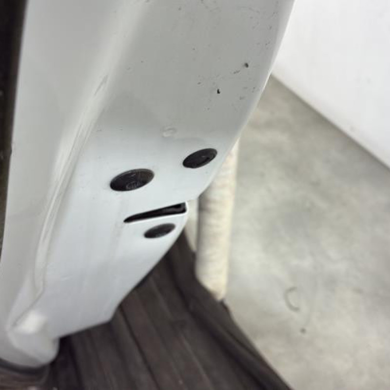 Porte arriere gauche VOLKSWAGEN POLO 5 Photo n°3