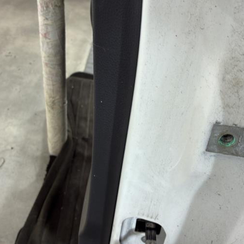 Porte arriere gauche VOLKSWAGEN POLO 5 Photo n°4