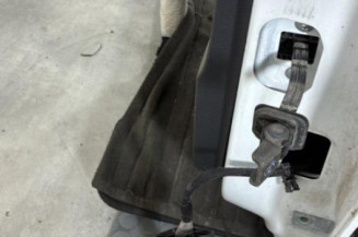 Porte arriere gauche VOLKSWAGEN POLO 5