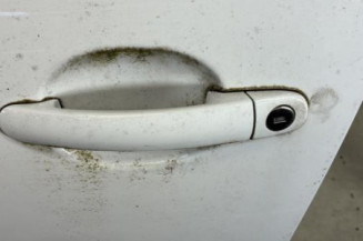 Porte avant gauche VOLKSWAGEN POLO 5