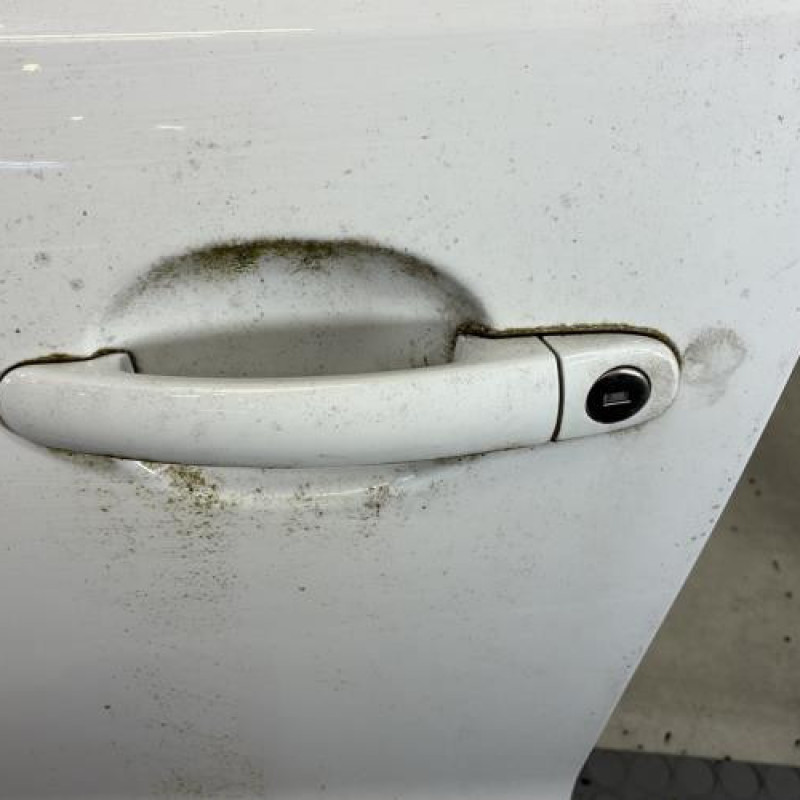 Porte avant gauche VOLKSWAGEN POLO 5 Photo n°2