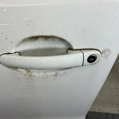 Porte avant gauche VOLKSWAGEN POLO 5