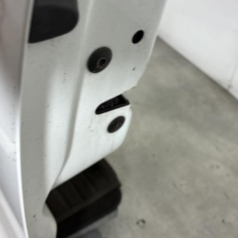 Porte avant gauche VOLKSWAGEN POLO 5 Photo n°3