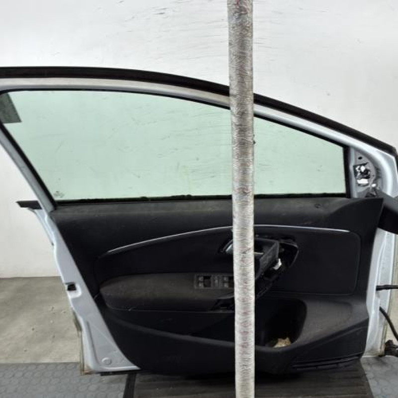 Porte avant gauche VOLKSWAGEN POLO 5 Photo n°6