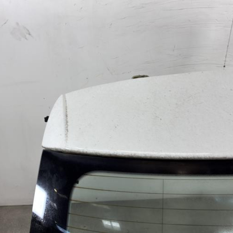 Malle/Hayon arriere VOLKSWAGEN POLO 5 Photo n°2