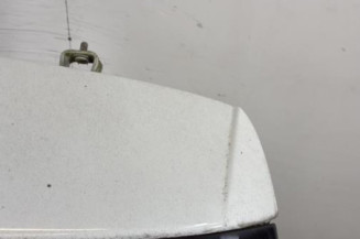 Malle/Hayon arriere VOLKSWAGEN POLO 5