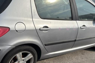 Feu arriere principal gauche (feux) PEUGEOT 307