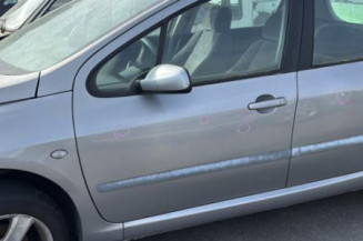 Feu arriere principal gauche (feux) PEUGEOT 307