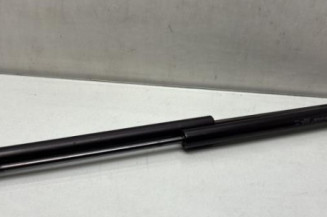 Verin de coffre RENAULT TWINGO 3 Photo n°1