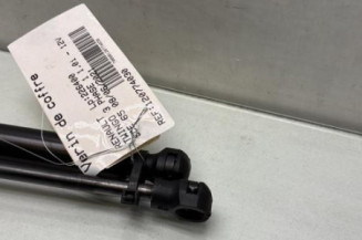 Verin de coffre RENAULT TWINGO 3