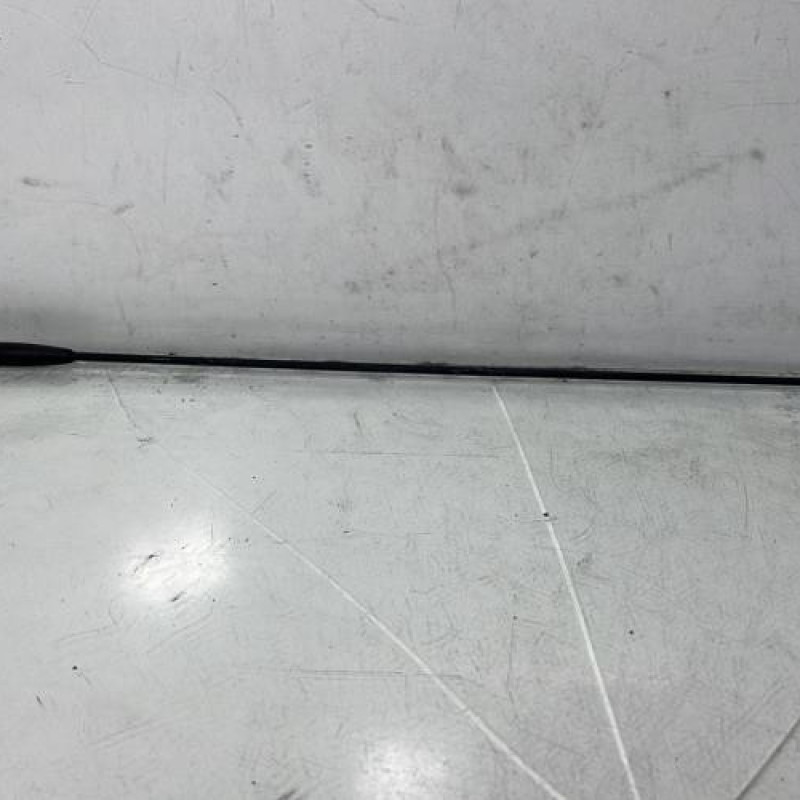 Antenne RENAULT TWINGO 1 Photo n°1