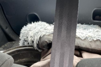 Bras essuie glace avant gauche RENAULT CLIO 4