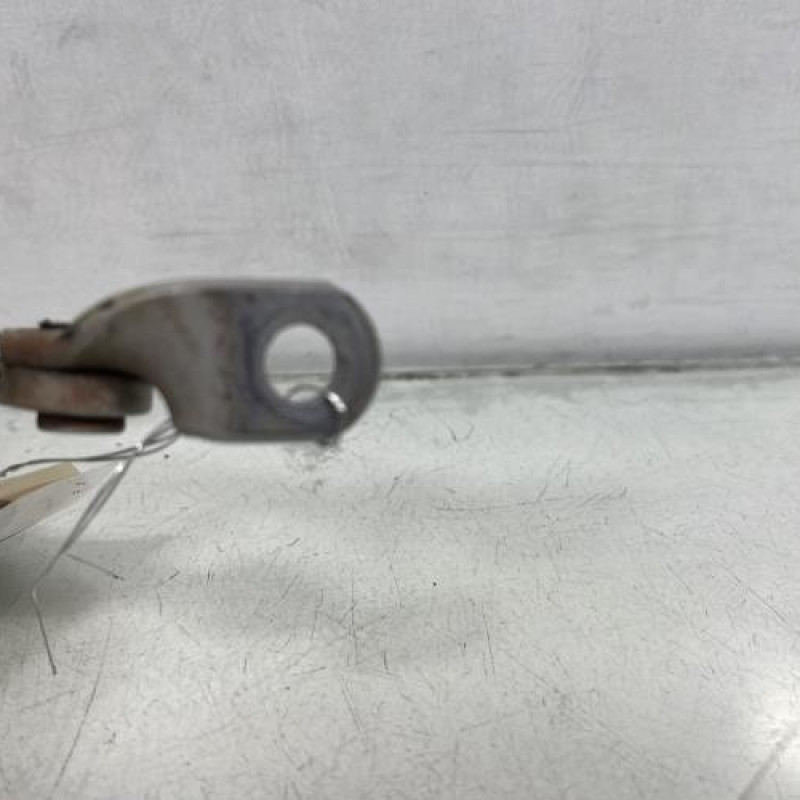 Arret de porte avant gauche PEUGEOT 206+ Photo n°4