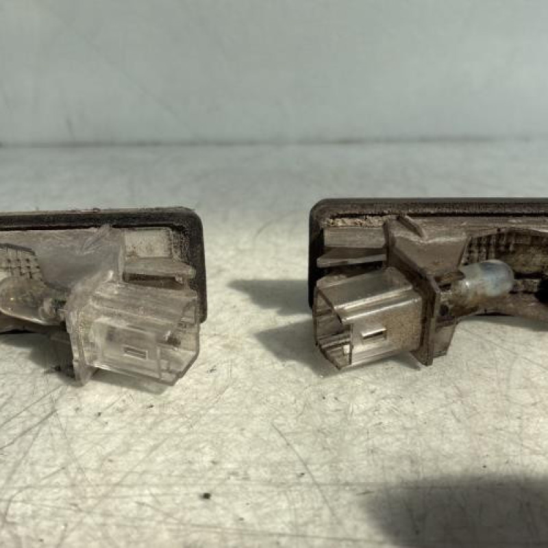 Eclairage de plaque RENAULT MODUS Photo n°2