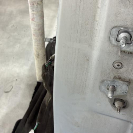 Porte arriere gauche RENAULT MODUS