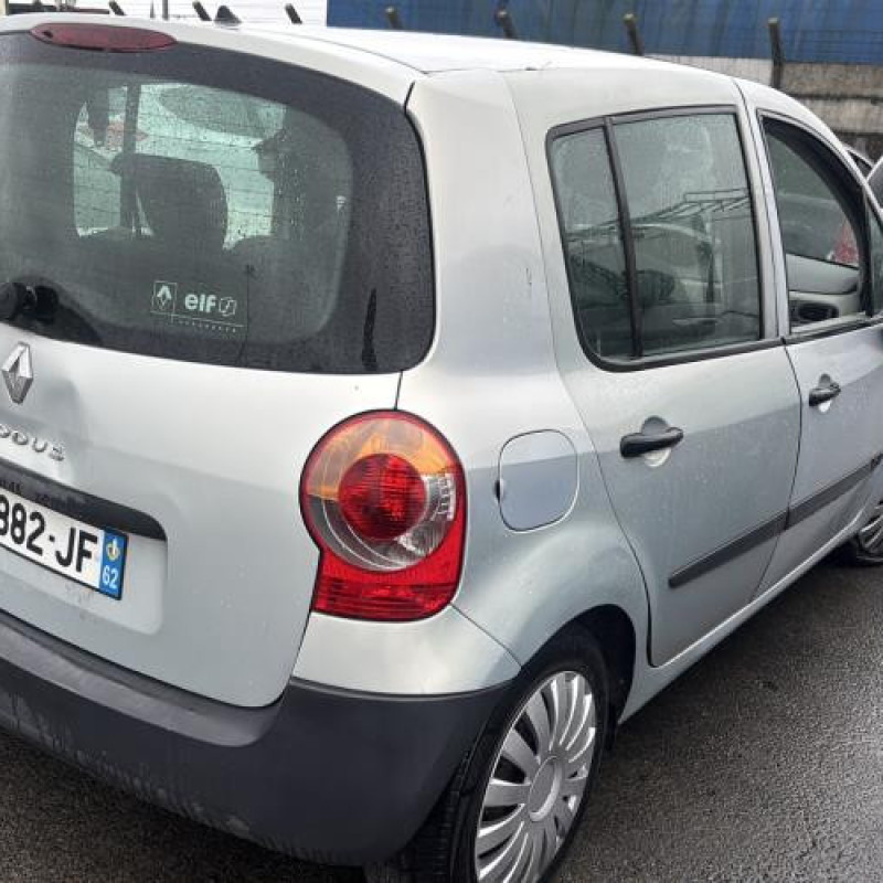 Custode avant gauche (porte) RENAULT MODUS Photo n°3