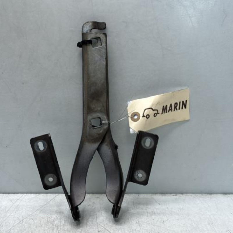 Charniere de capot PEUGEOT PARTNER 2 Photo n°1