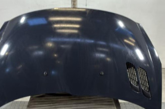 Capot PEUGEOT 206+ Photo n°1