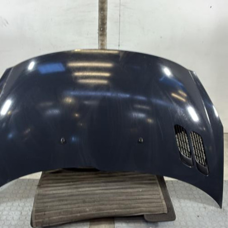 Capot PEUGEOT 206+ Photo n°1