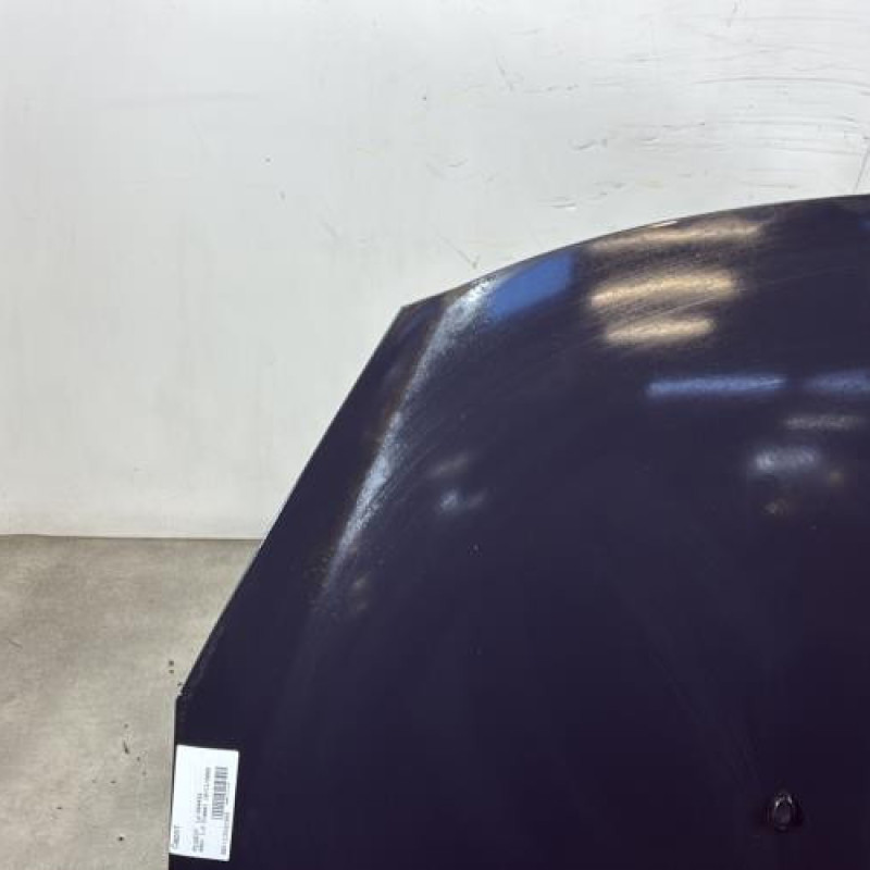 Capot PEUGEOT 206+ Photo n°2