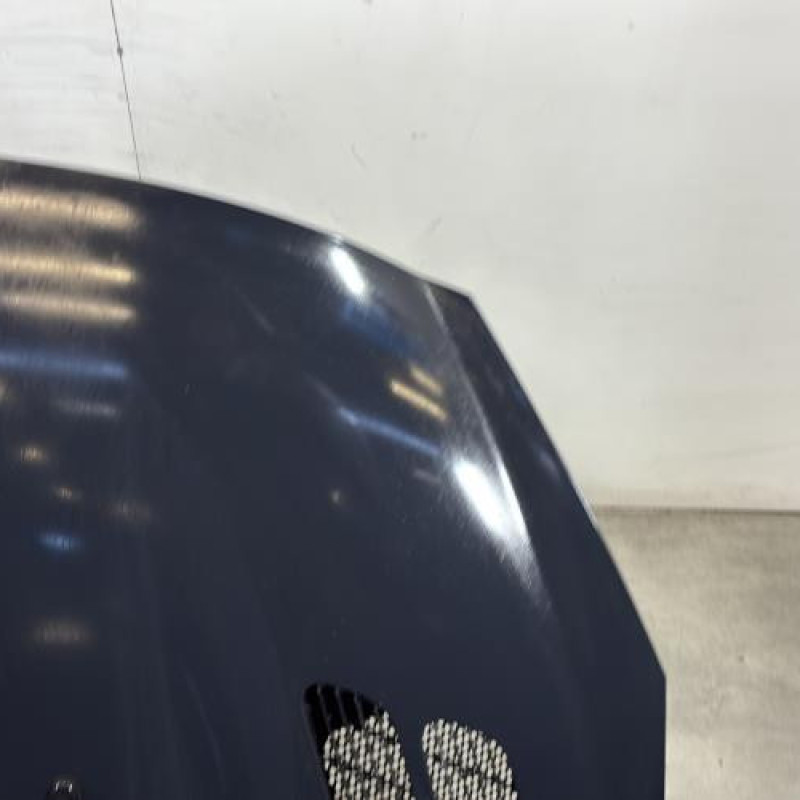 Capot PEUGEOT 206+ Photo n°3