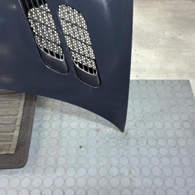 Capot PEUGEOT 206+ Photo n°4