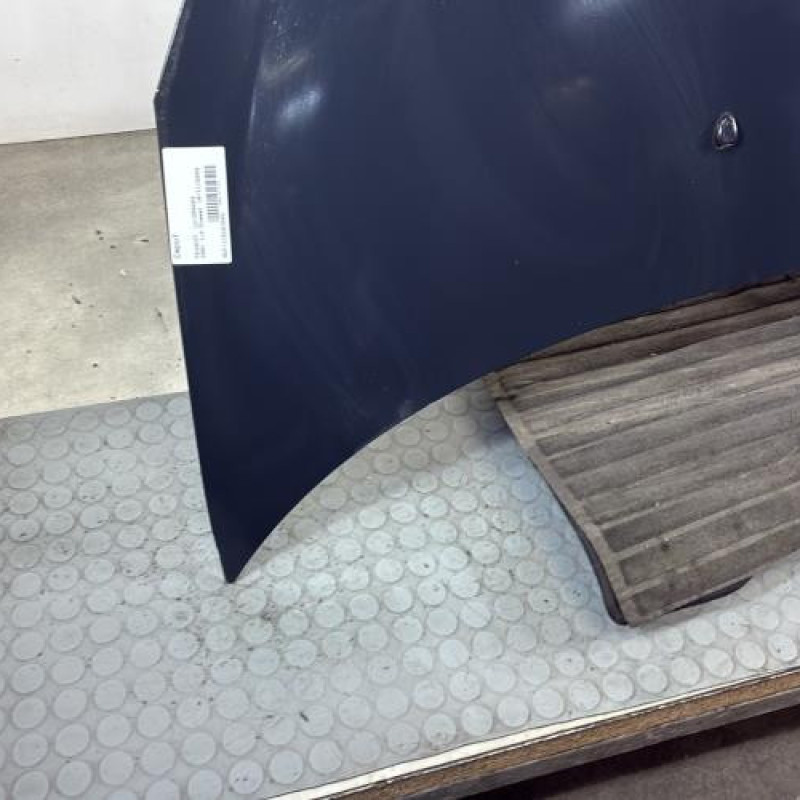 Capot PEUGEOT 206+ Photo n°5