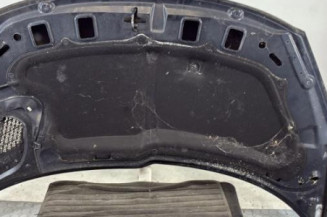 Capot PEUGEOT 206+
