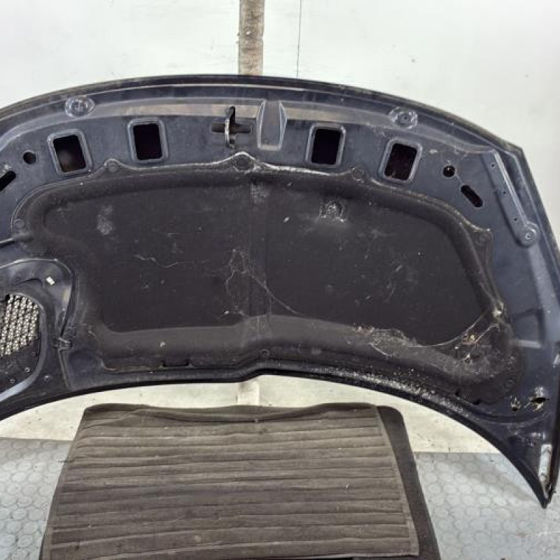 Capot PEUGEOT 206+ Photo n°6