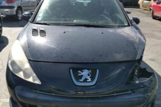 Custode arriere droit PEUGEOT 206+