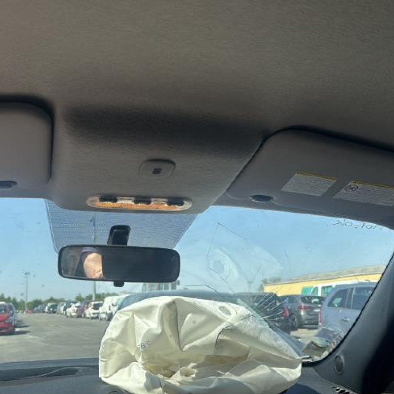 Poignee interieur arriere droit NISSAN JUKE 1 Photo n°13