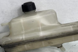 Vase d'expansion NISSAN JUKE 1 Photo n°1