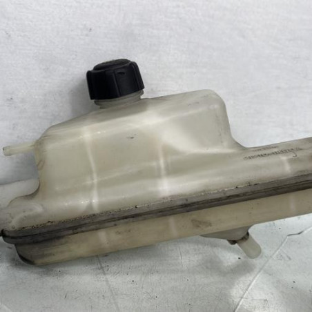 Vase d'expansion NISSAN JUKE 1 Photo n°1