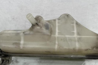 Vase d'expansion NISSAN JUKE 1