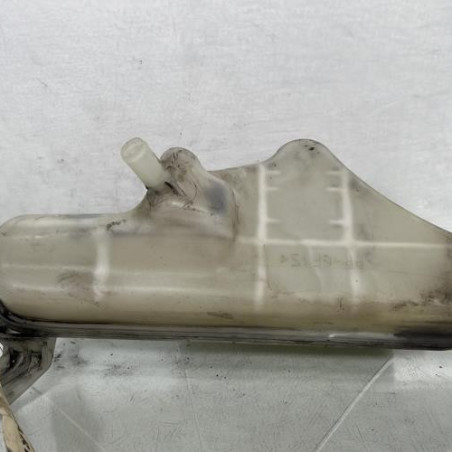 Vase d'expansion NISSAN JUKE 1