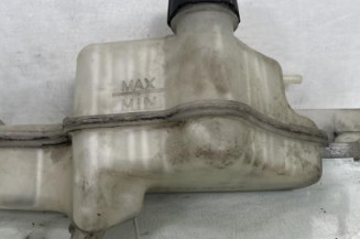 Vase d'expansion NISSAN JUKE 1