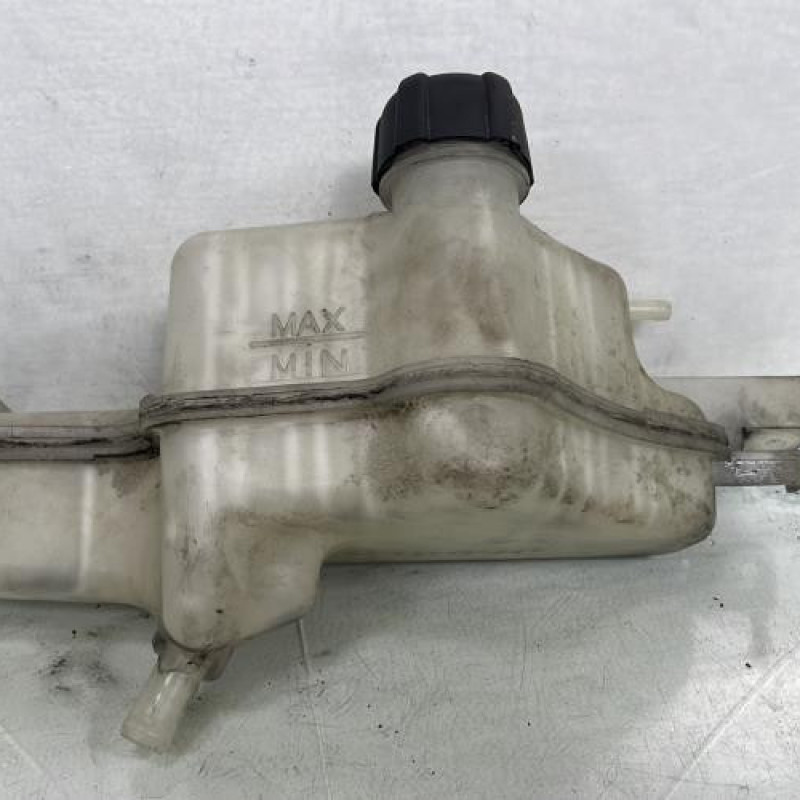 Vase d'expansion NISSAN JUKE 1 Photo n°3