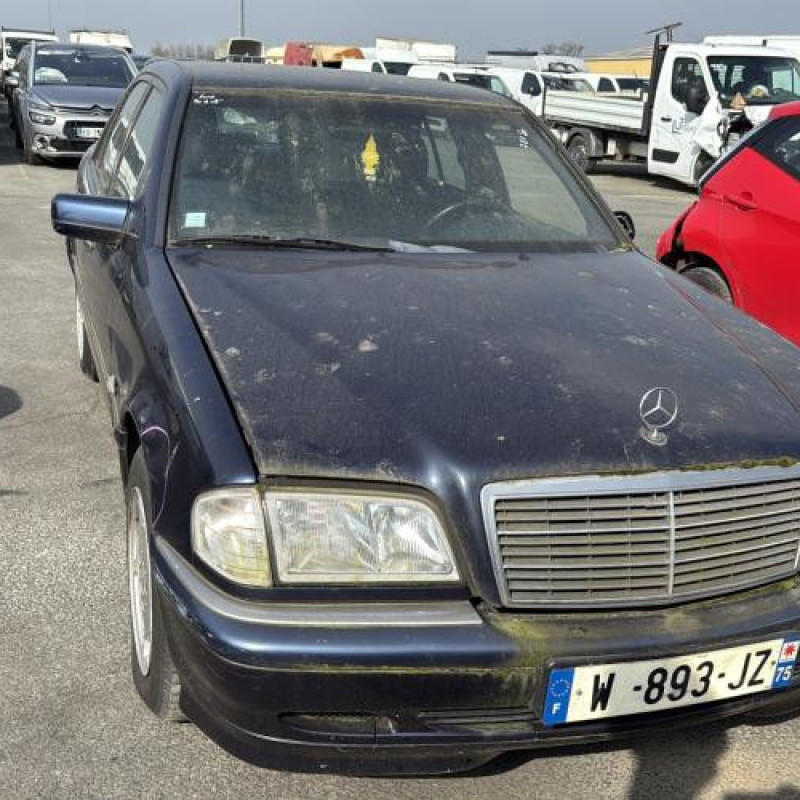 Custode arriere gauche (porte) MERCEDES CLASSE C 202 Photo n°7