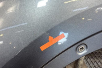 Aile avant gauche NISSAN JUKE 1 Photo n°2