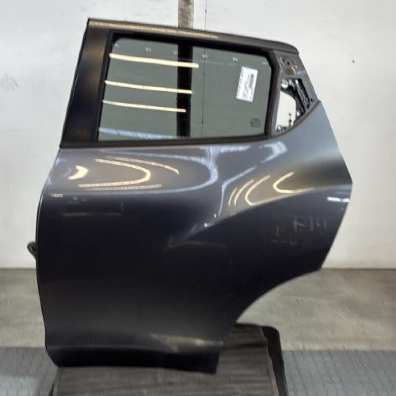 Porte arriere gauche NISSAN JUKE 1 Photo n°1