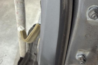 Porte arriere gauche NISSAN JUKE 1