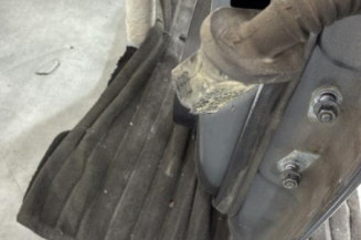 Porte arriere gauche NISSAN JUKE 1