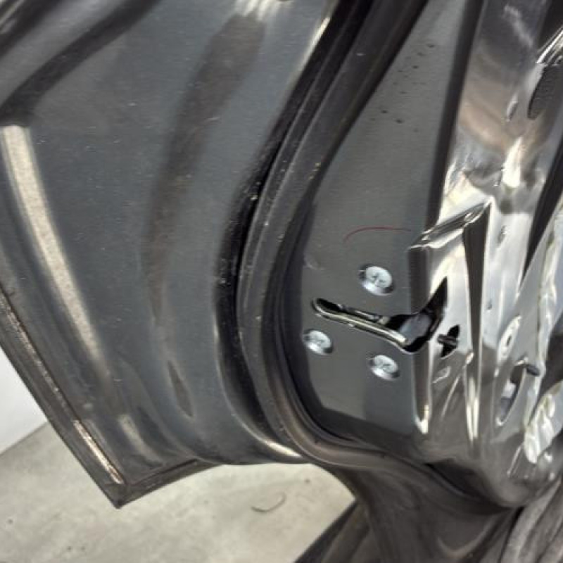 Porte arriere gauche NISSAN JUKE 1 Photo n°4