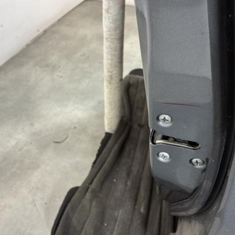 Porte avant droit NISSAN JUKE 1 Photo n°3