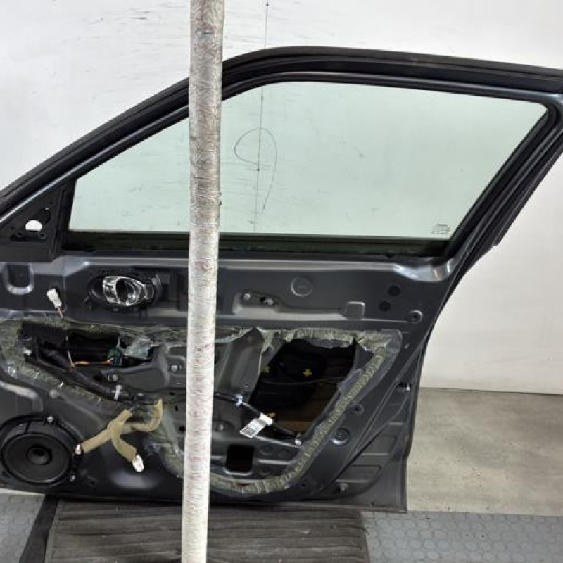 Porte avant droit NISSAN JUKE 1 Photo n°6